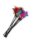 Cat Feather Wand