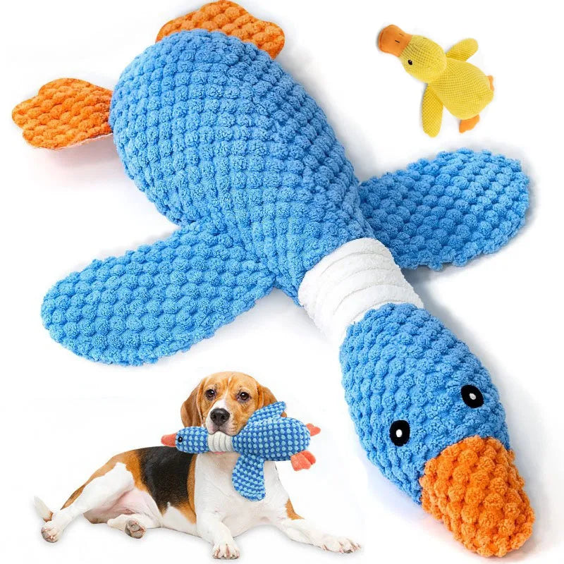 Dog playing with a blue knitted toy shaped like a fish on a white background