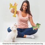 Rope Dog Toy