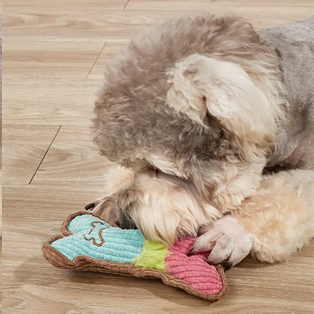 Dog Squeaky Bone Toy