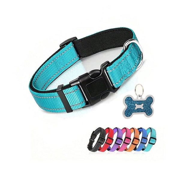 Nylon Dog Collar
