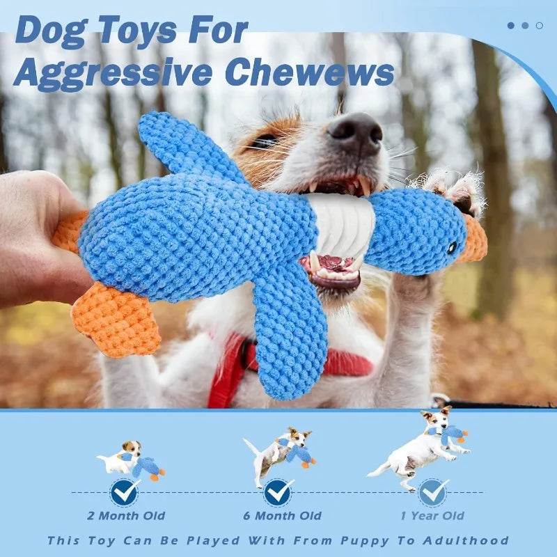 Dog playing with a blue and orange knitted toy outdoors.