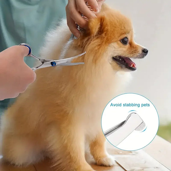 Stainless Steel Pet Grooming Scissors Set