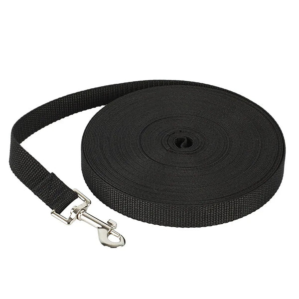 Durable Nylon Dog & Cat Leash
