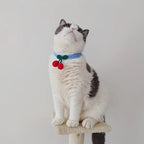 Handmade Knitted Cat Collar
