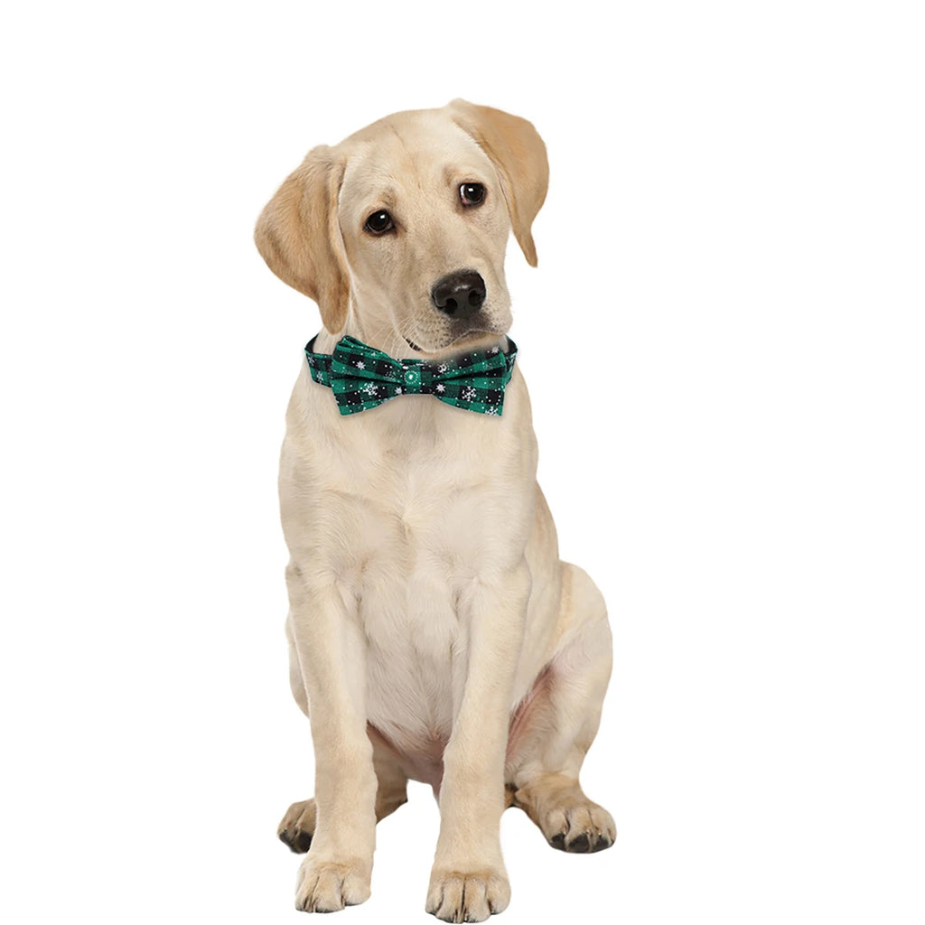 Bow Tie Dog & Cat Collar