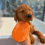 Pet Bath Brush
