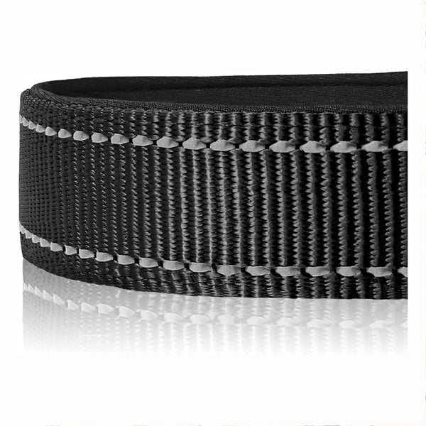 Nylon Dog Collar