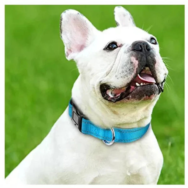 Nylon Dog Collar