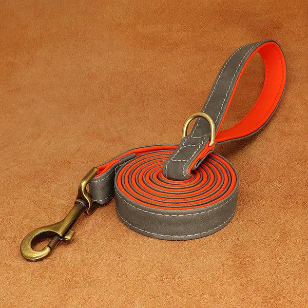 Leather Dog Leash