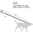 Leather Dog Leash