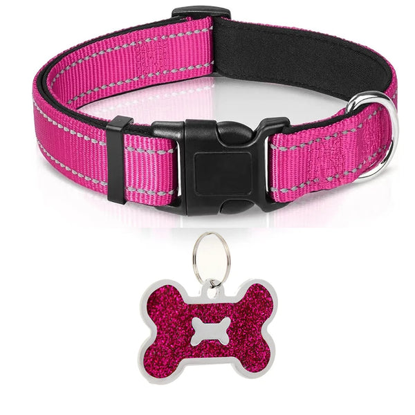 Nylon Dog Collar
