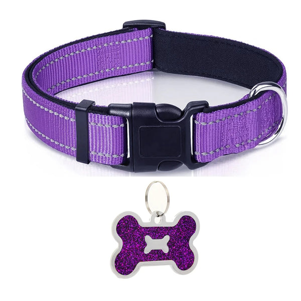 Nylon Dog Collar