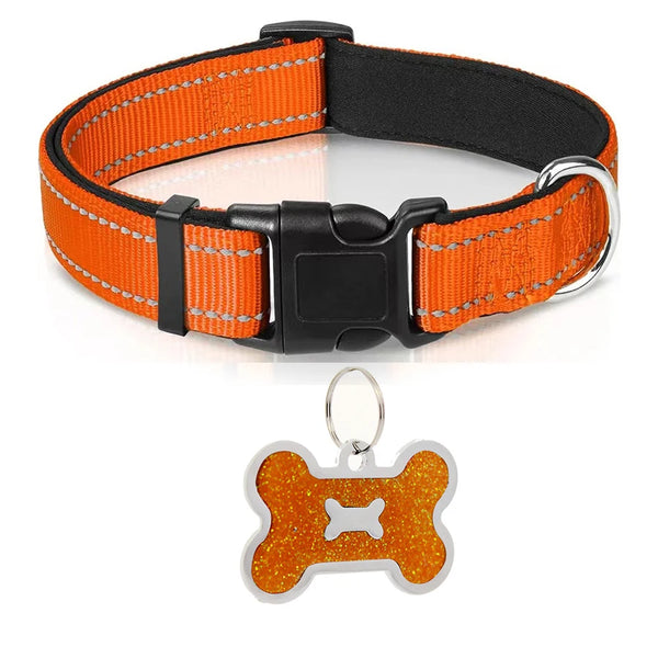 Nylon Dog Collar