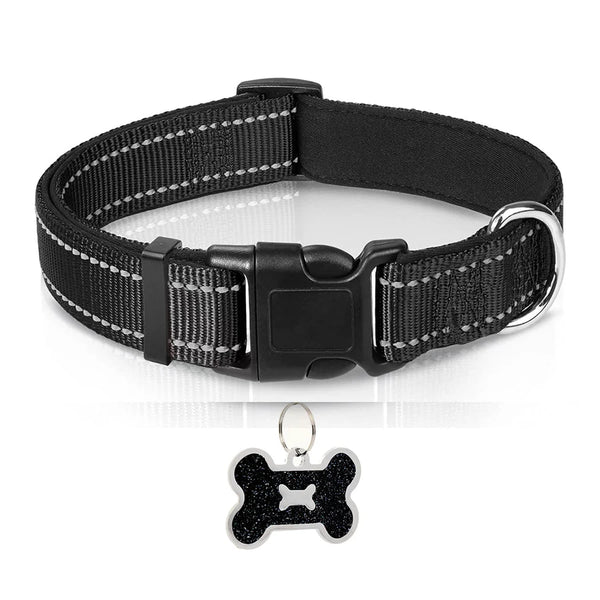Nylon Dog Collar