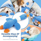 Collage of dogs playing with a blue dog toy, with text 'Versatile Ways Of Accompanying' and 'Take Care Of And Accompany Your Dogs'.