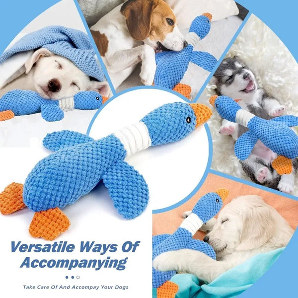 Collage of dogs playing with a blue dog toy, with text 'Versatile Ways Of Accompanying' and 'Take Care Of And Accompany Your Dogs'.