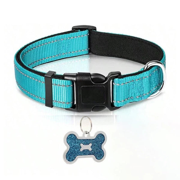 Nylon Dog Collar