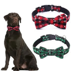 Bow Tie Dog & Cat Collar