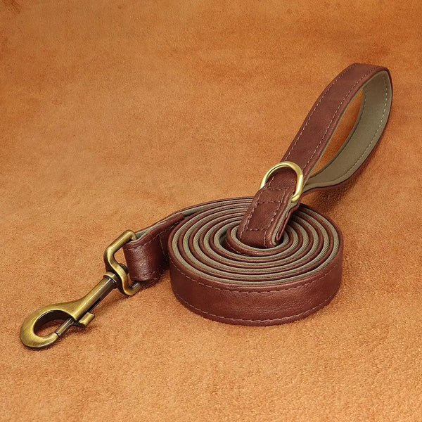 Leather Dog Leash