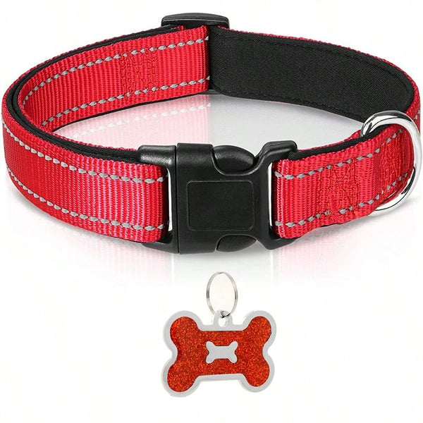 Nylon Dog Collar
