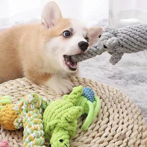 Rope Dog Toy