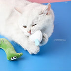 Catnip Plush Toy
