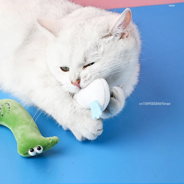 Catnip Plush Toy