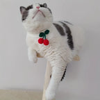 Handmade Knitted Cat Collar
