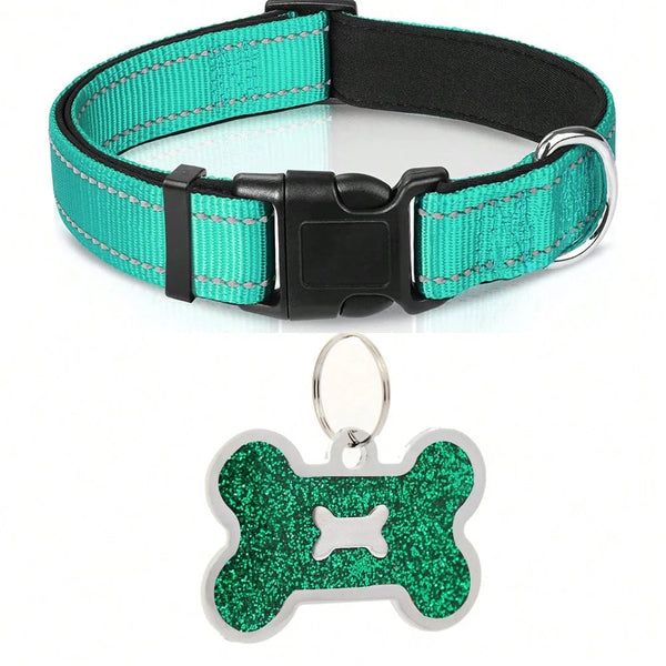 Nylon Dog Collar