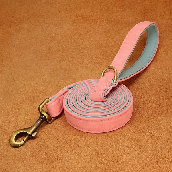 Leather Dog Leash
