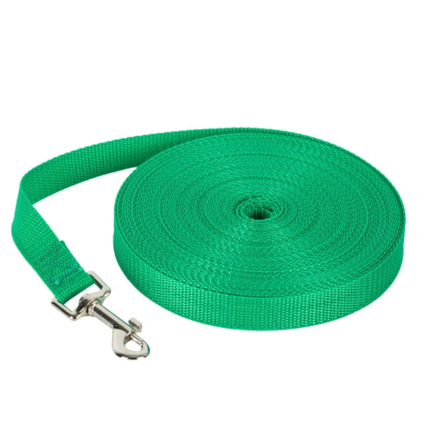Durable Nylon Dog & Cat Leash