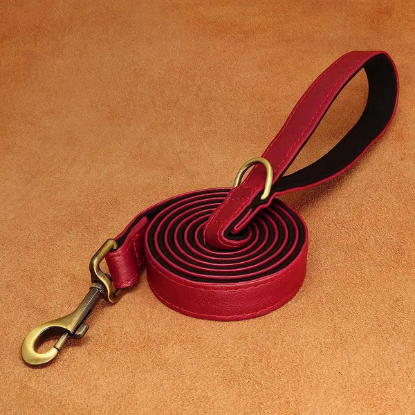Leather Dog Leash